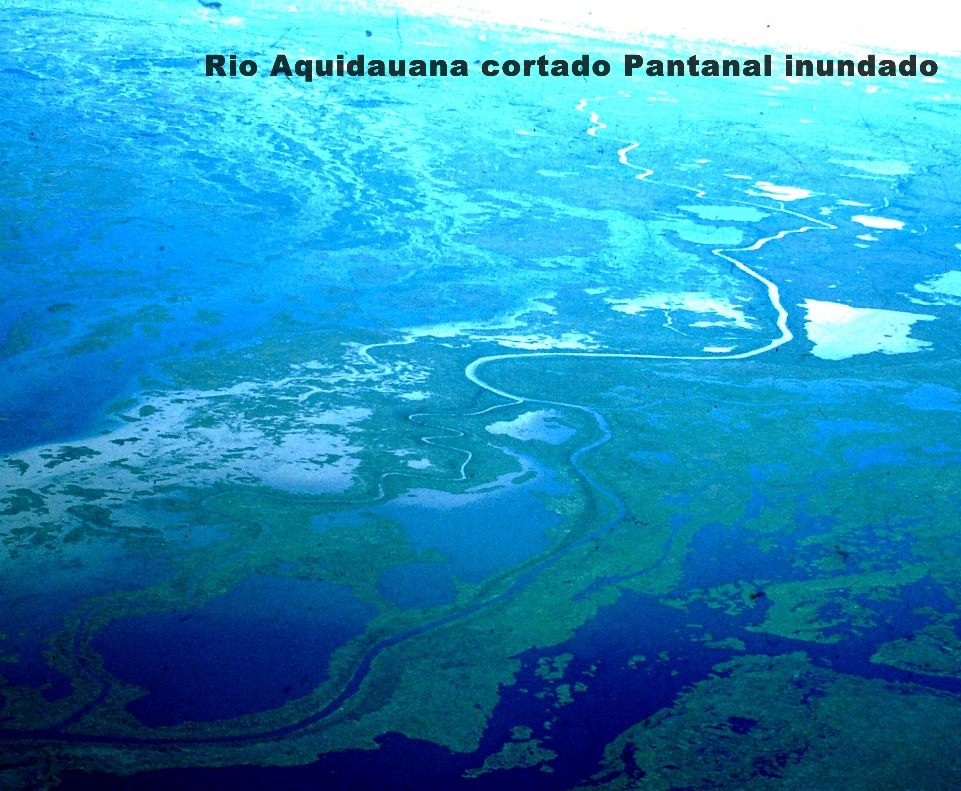 C:\Users\Seven\Pictures\FOTOS USADAS PANTANAL INTERNET\Rio Aquidauana PT NDK 1++.JPG