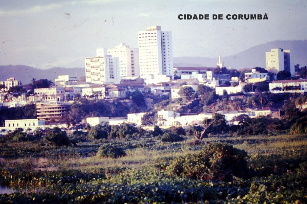 Conheça os parentes das curicacas, guarás e colhereiros, Terra da Gente