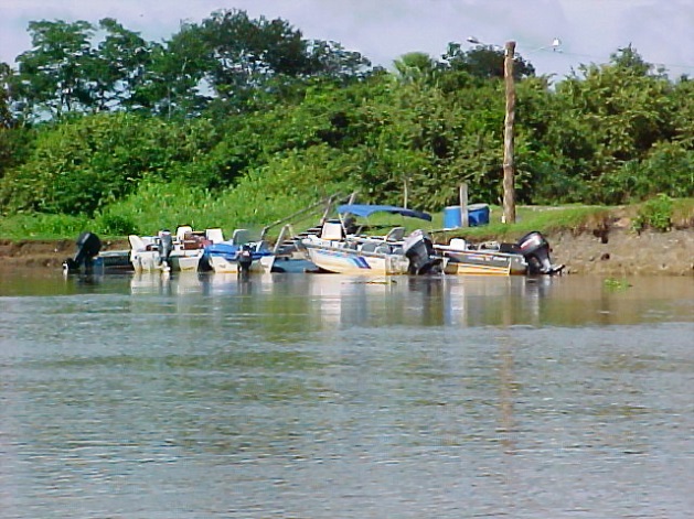 Pantanal 13-03-2004-835.jpg