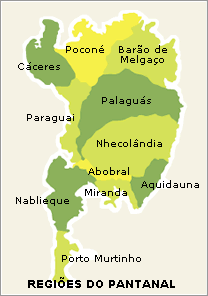 Conheça os parentes das curicacas, guarás e colhereiros, Terra da Gente